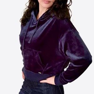 HOLLISTER BLUE VELOUR HOODIE SIZE SMALL